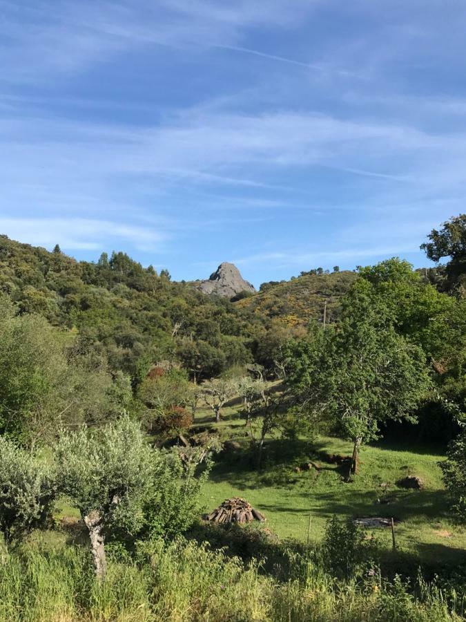 Azeite De Marvao, Olivoturismo Casa Mestre Do Lagar ภายนอก รูปภาพ
